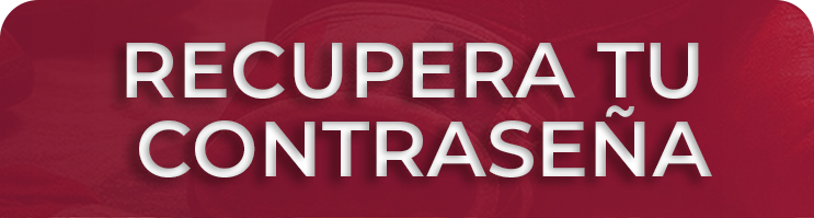 Recupera tu contraseña